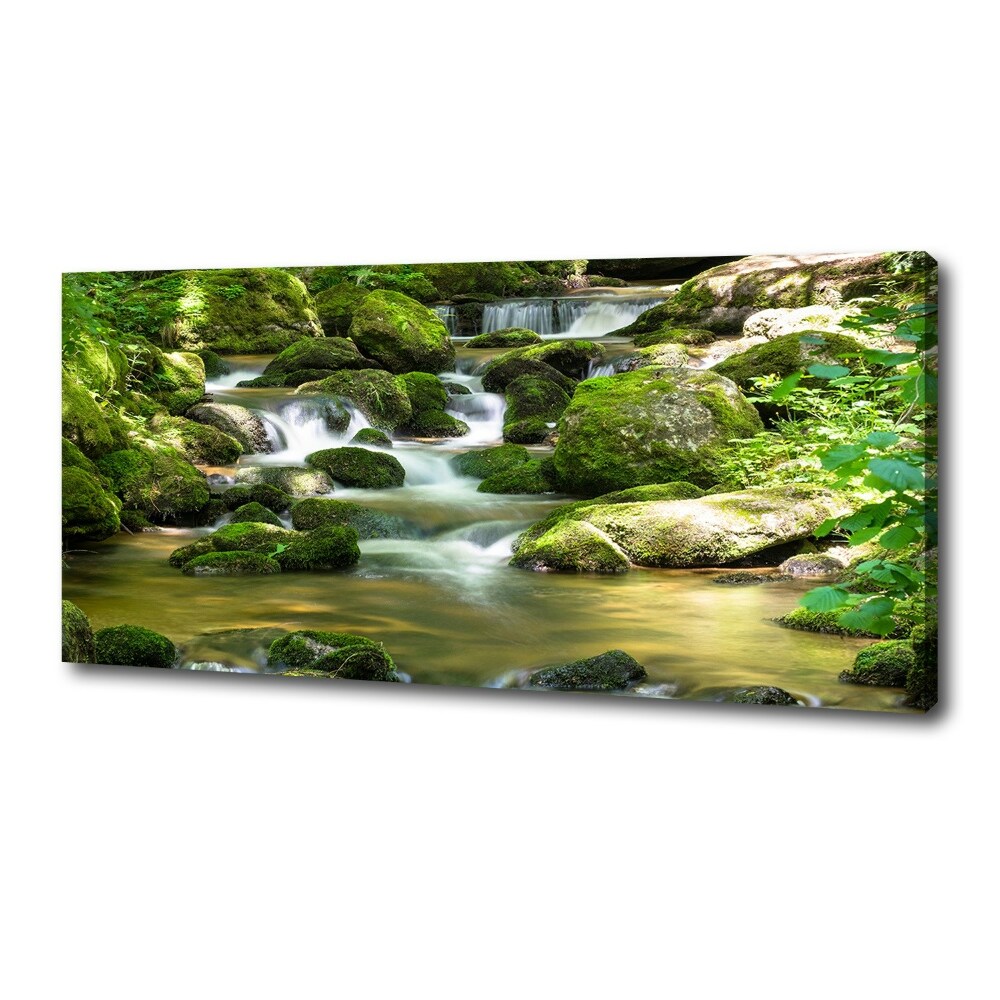 Canvas wall art Waterfall