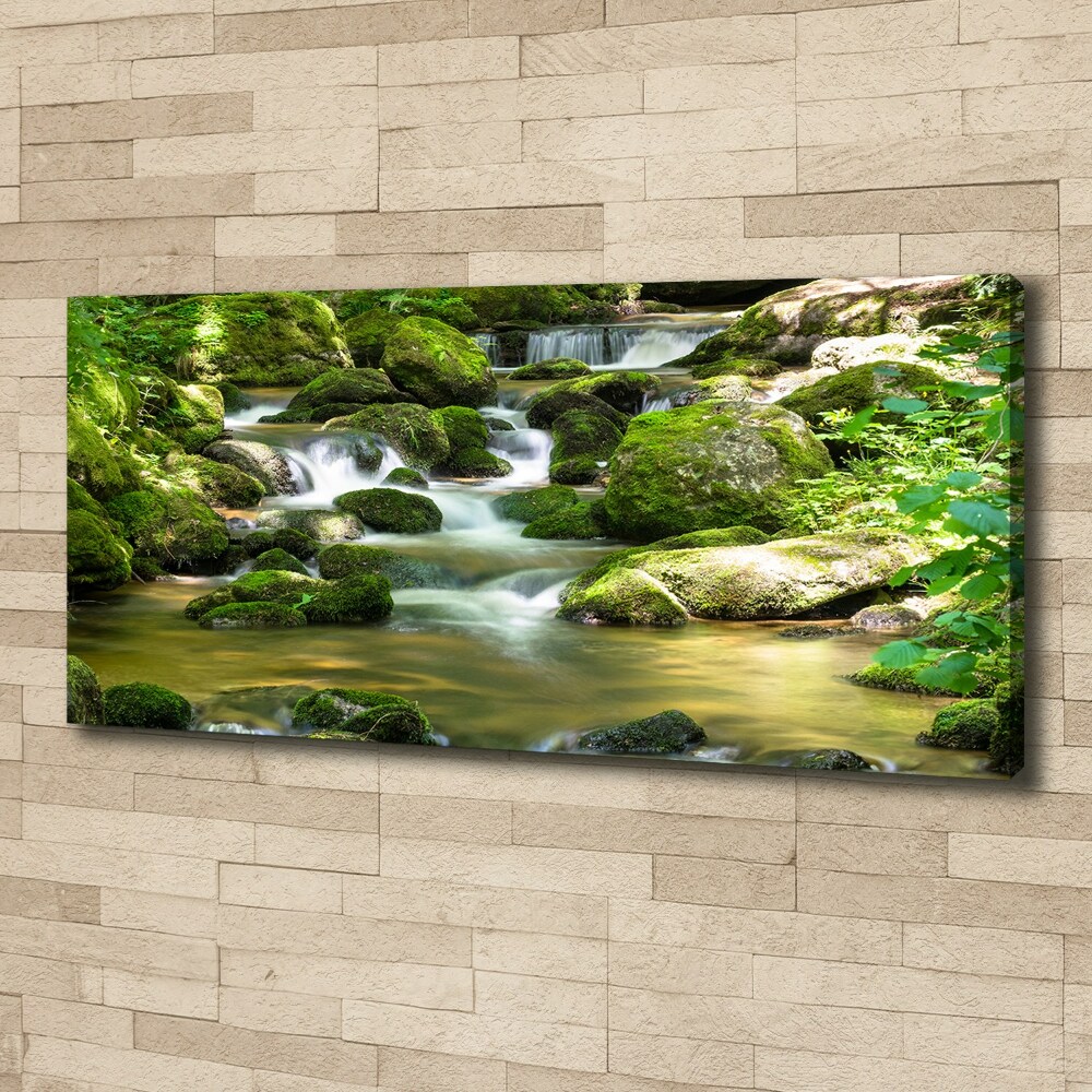 Canvas wall art Waterfall