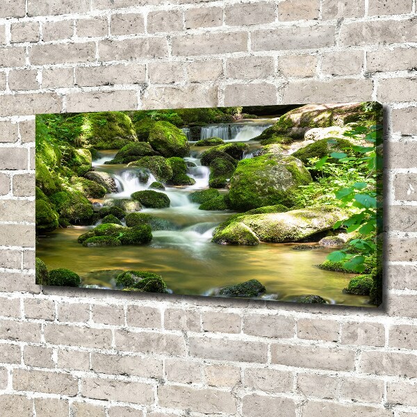 Canvas wall art Waterfall