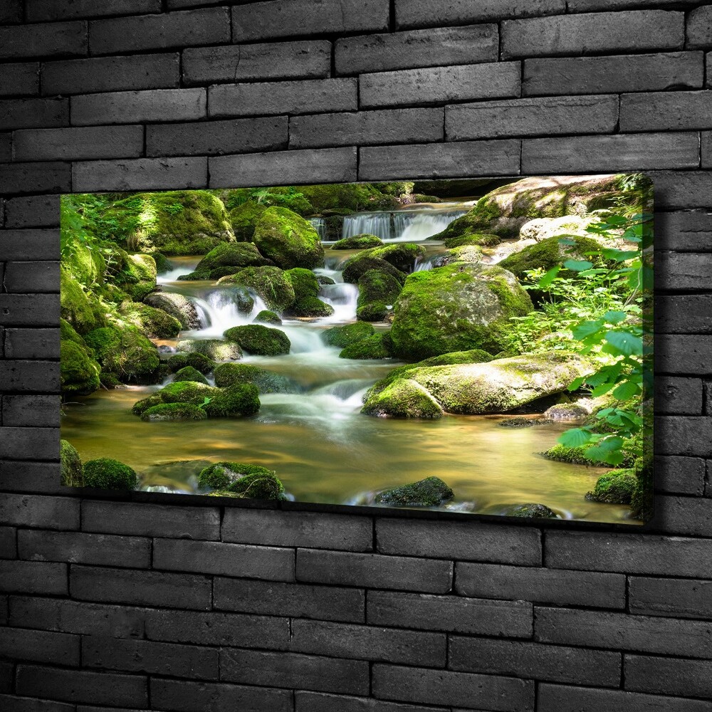 Canvas wall art Waterfall