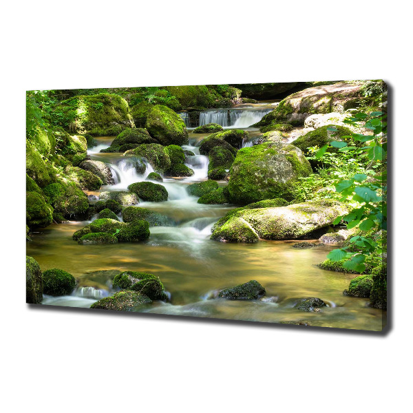 Canvas wall art Waterfall