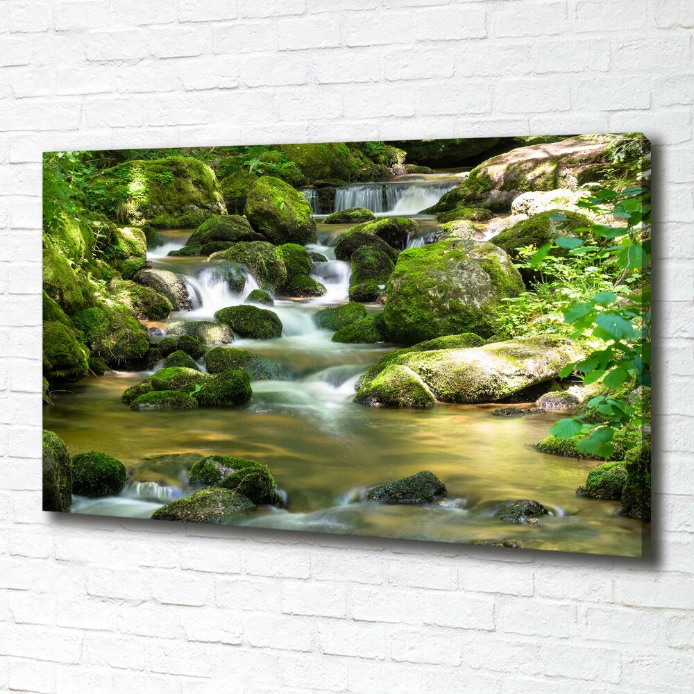 Canvas wall art Waterfall