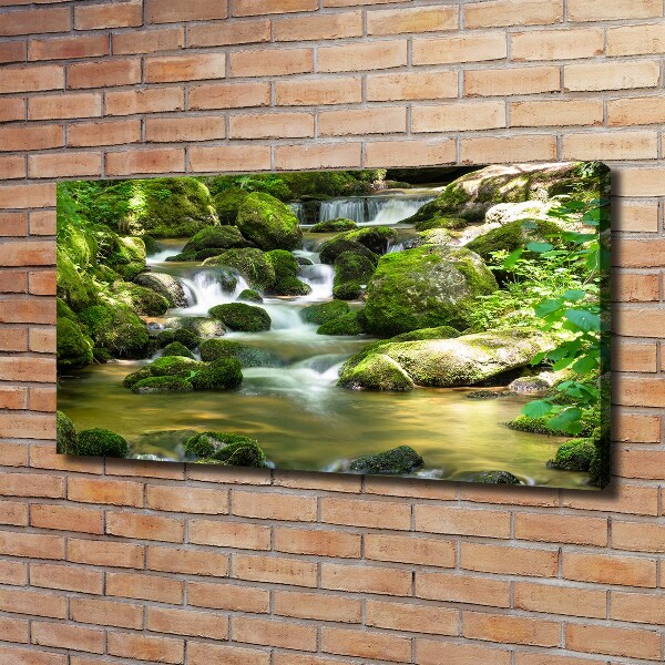 Canvas wall art Waterfall