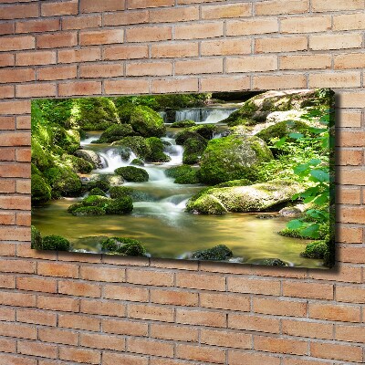 Canvas wall art Waterfall