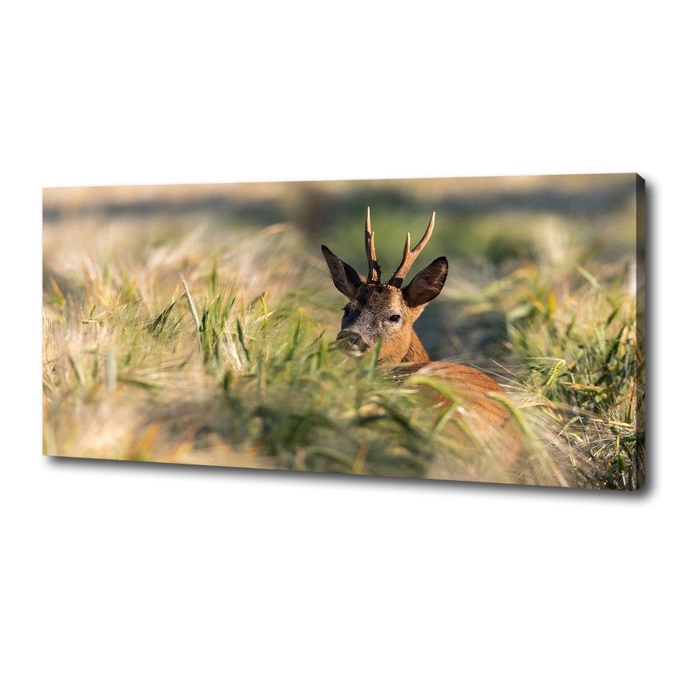 Wall art canvas large Deer in the field