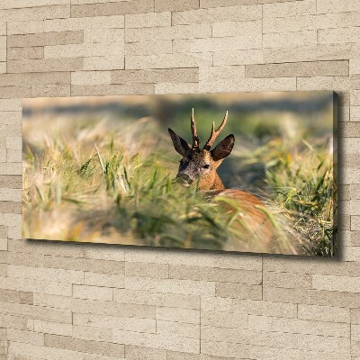 Wall art canvas large Deer in the field