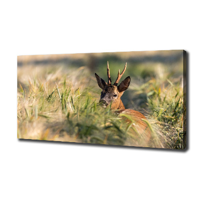 Wall art canvas large Deer in the field