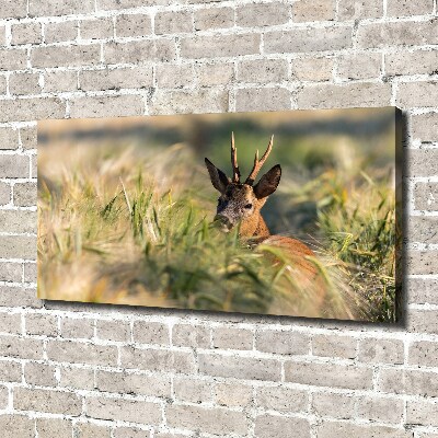 Wall art canvas large Deer in the field