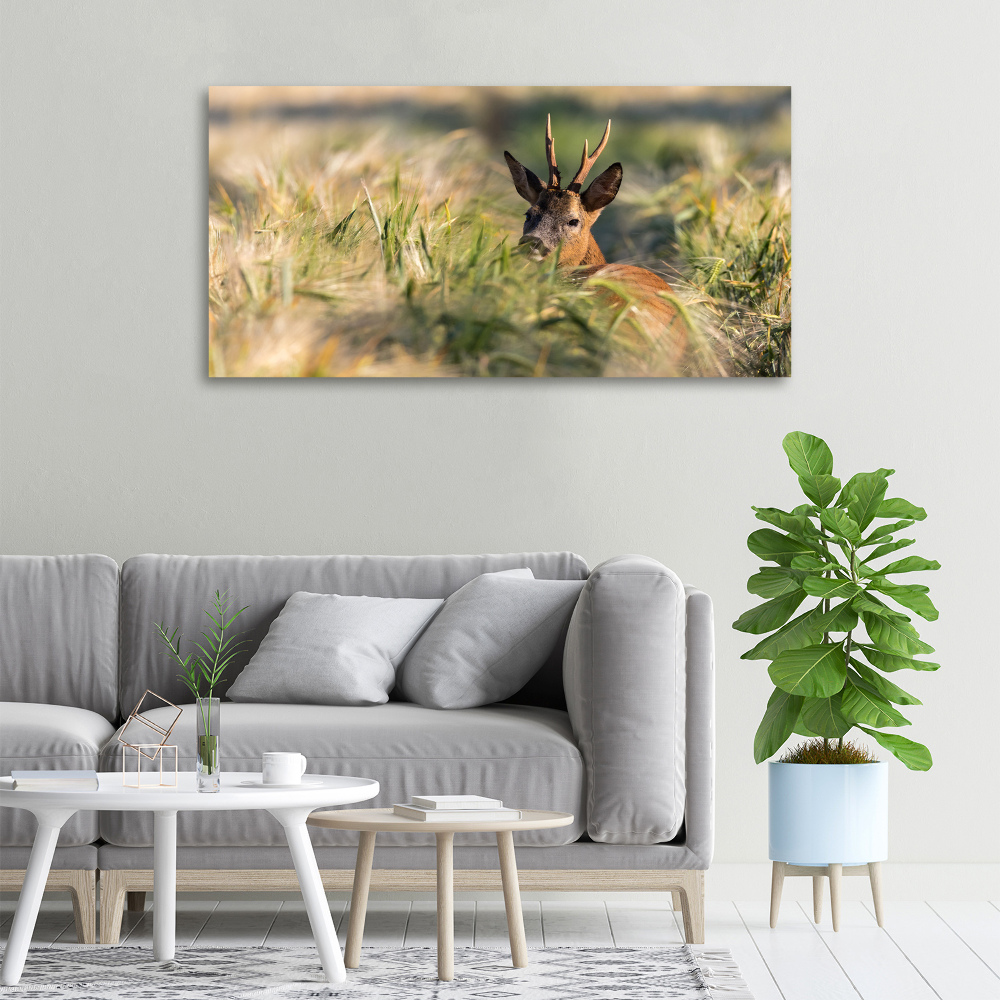 Wall art canvas large Deer in the field