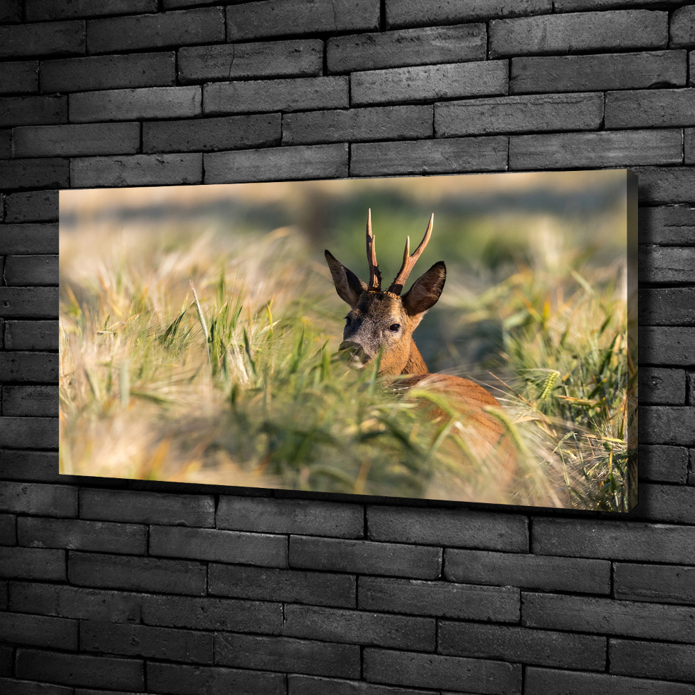 Wall art canvas large Deer in the field