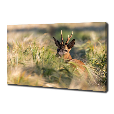 Wall art canvas large Deer in the field