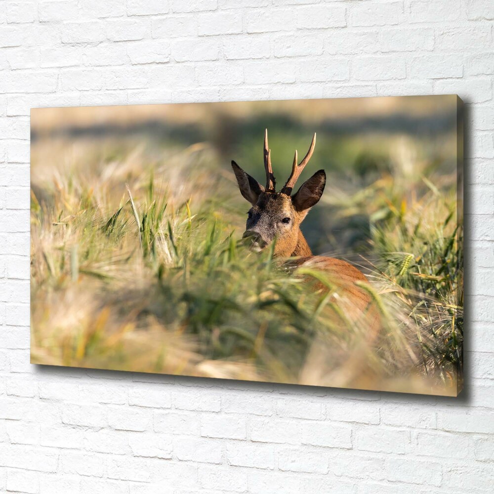 Wall art canvas large Deer in the field