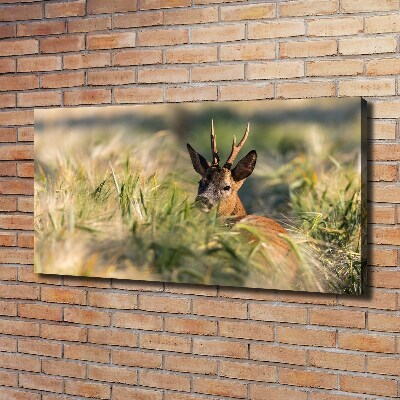 Wall art canvas large Deer in the field