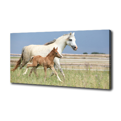 Canvas print Mare with foal