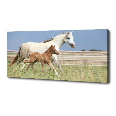 Canvas print Mare with foal