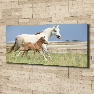 Canvas print Mare with foal