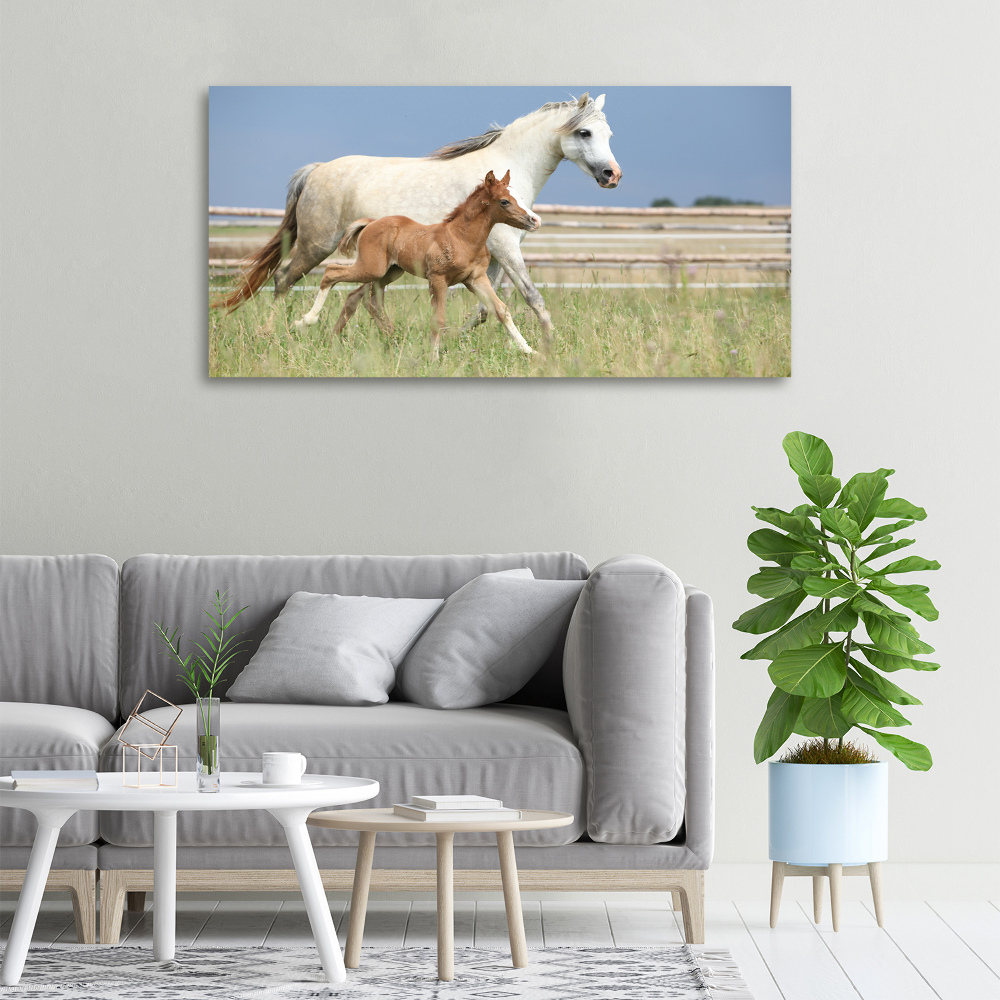 Canvas print Mare with foal