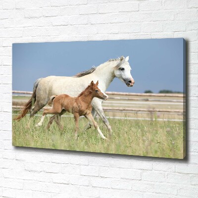 Canvas print Mare with foal