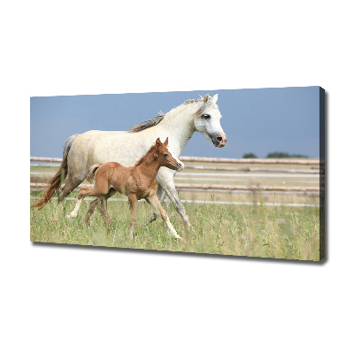 Canvas print Mare with foal