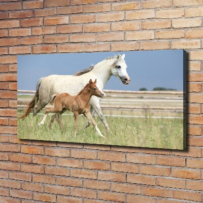 Canvas print Mare with foal