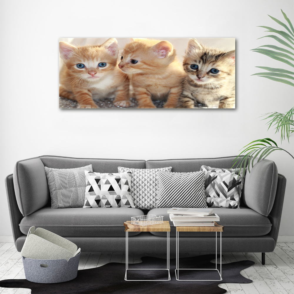 Wall art canvas large Little cats