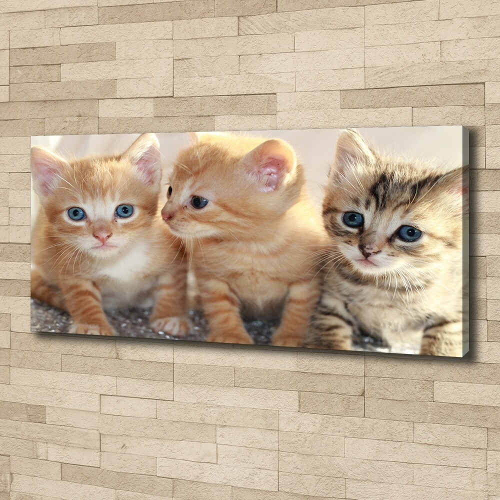 Wall art canvas large Little cats