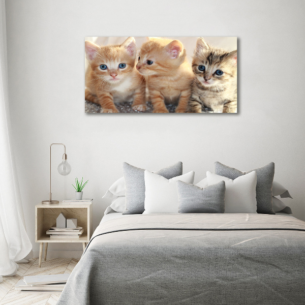 Wall art canvas large Little cats