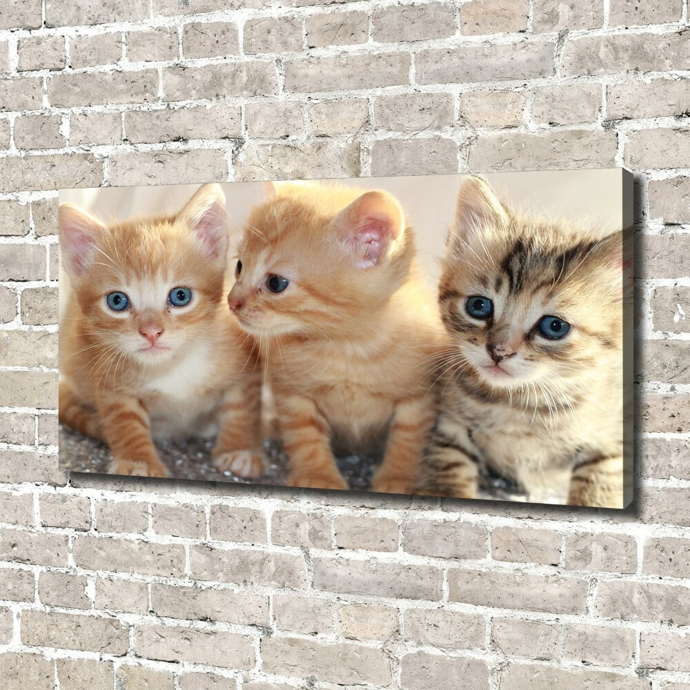 Wall art canvas large Little cats