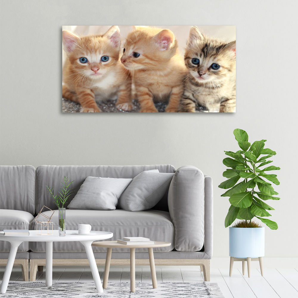 Wall art canvas large Little cats