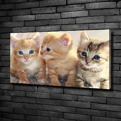 Wall art canvas large Little cats