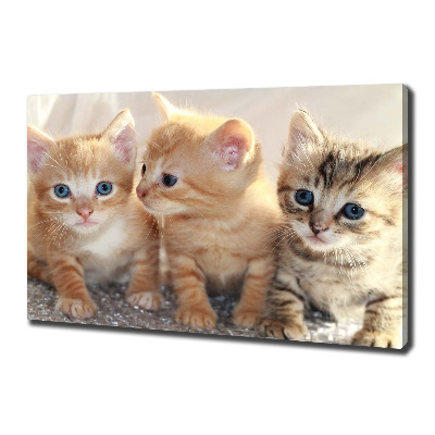 Wall art canvas large Little cats