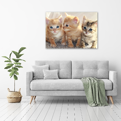 Wall art canvas large Little cats