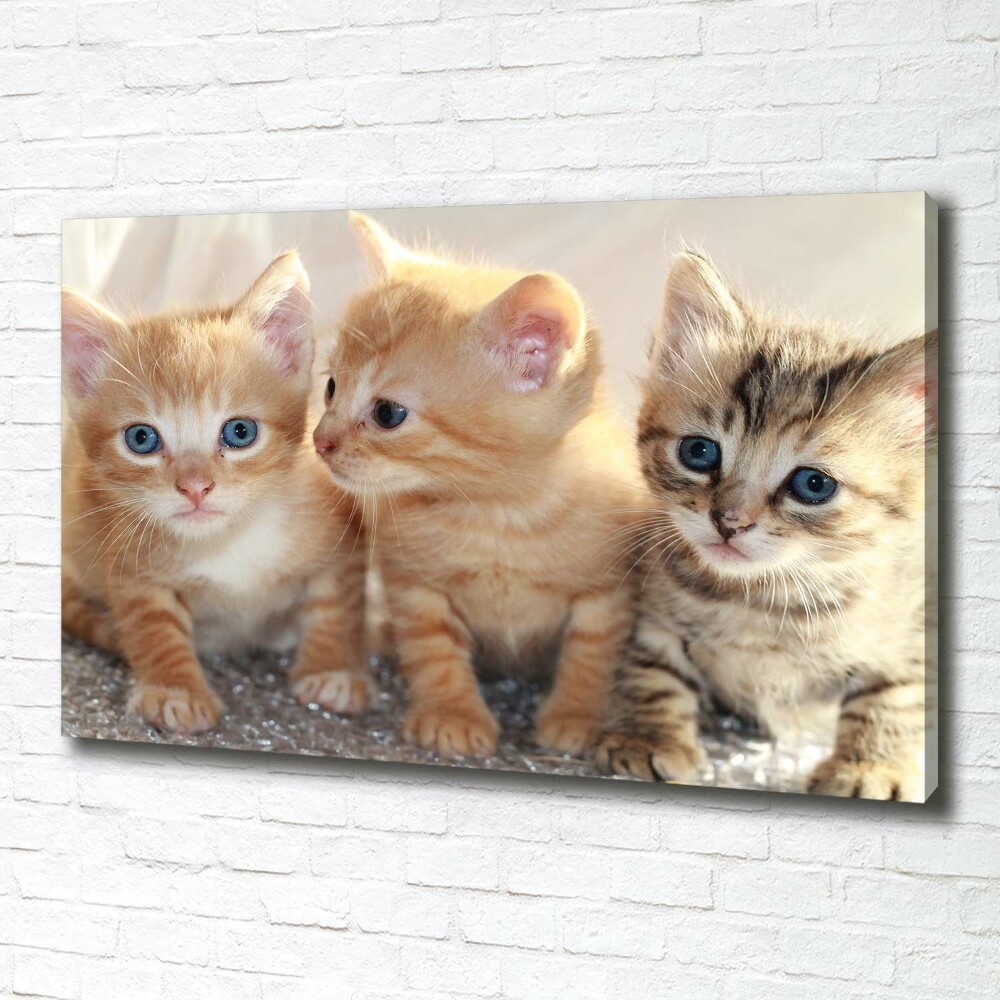 Wall art canvas large Little cats