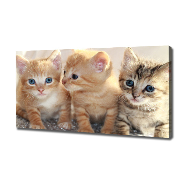 Wall art canvas large Little cats