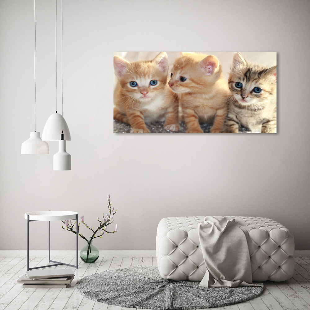 Wall art canvas large Little cats