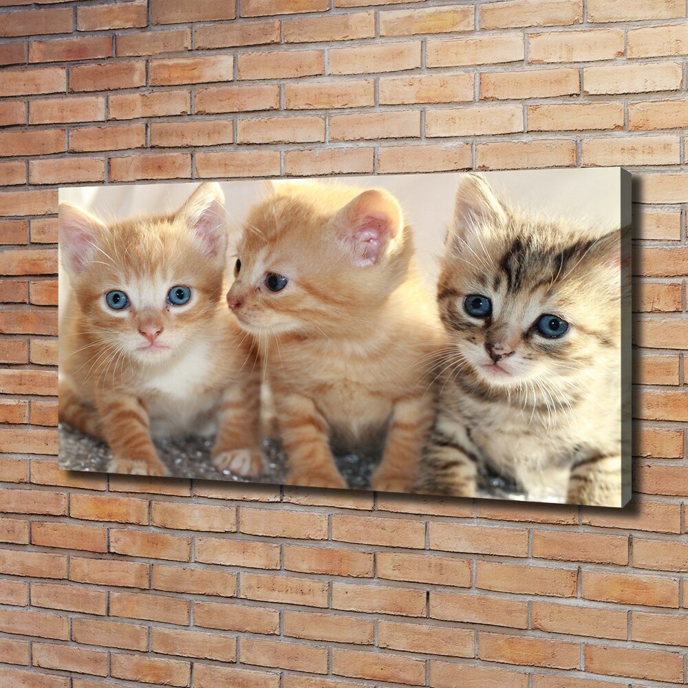 Wall art canvas large Little cats