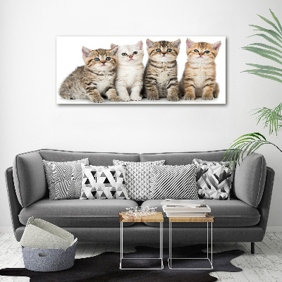 Canvas wall art Little cats