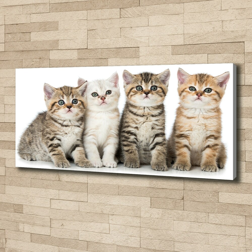 Canvas wall art Little cats