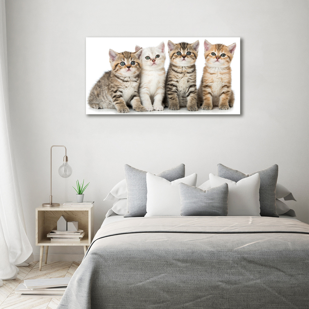 Canvas wall art Little cats