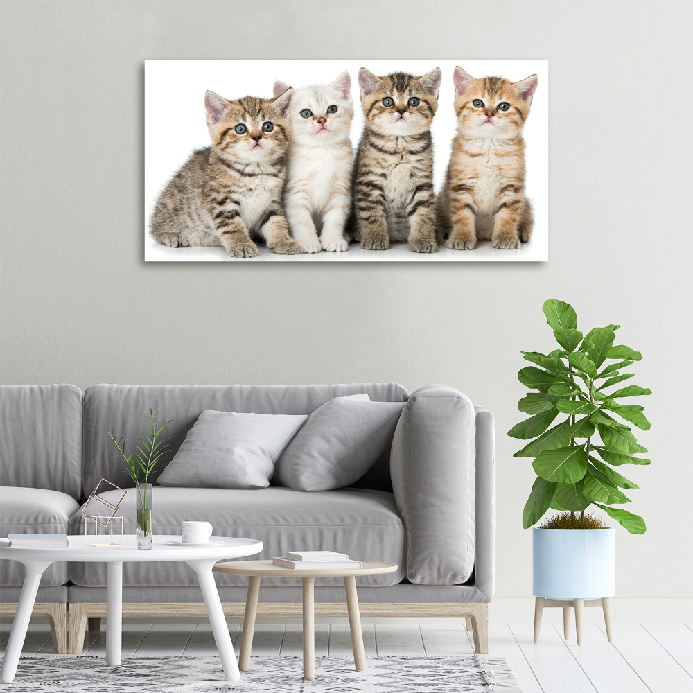 Canvas wall art Little cats