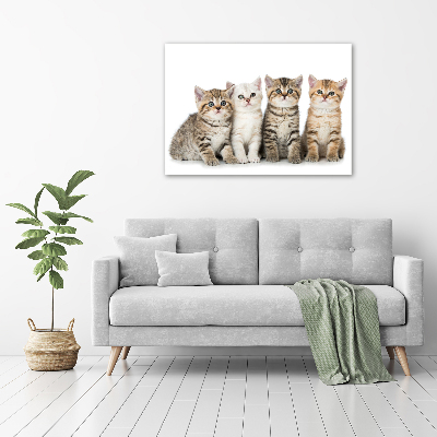 Canvas wall art Little cats