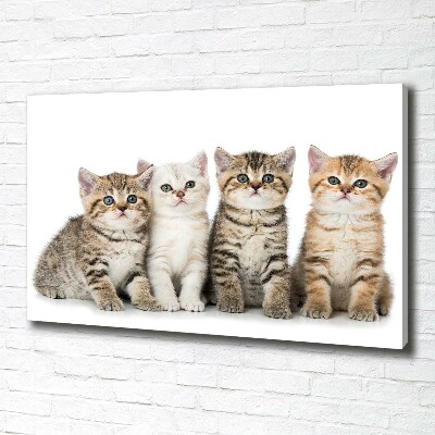 Canvas wall art Little cats