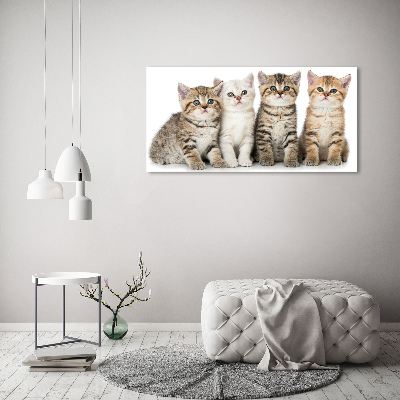 Canvas wall art Little cats