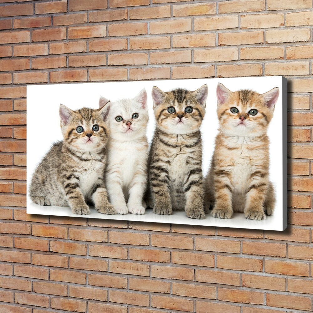 Canvas wall art Little cats