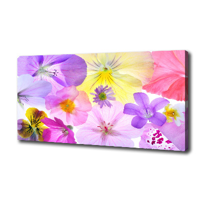 Canvas wall art Pansies