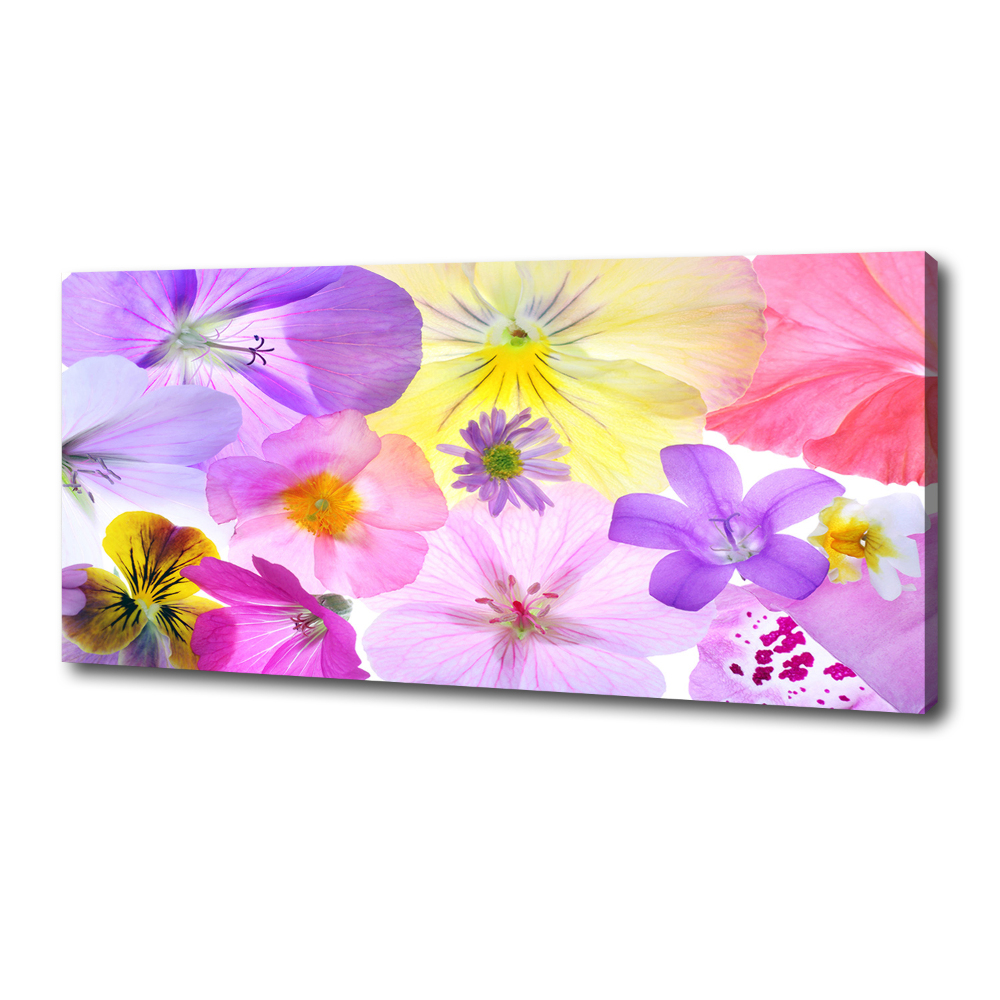 Canvas wall art Pansies