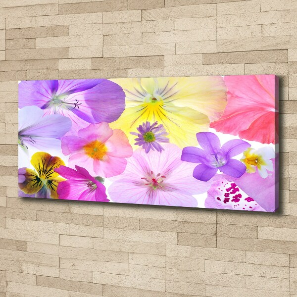 Canvas wall art Pansies