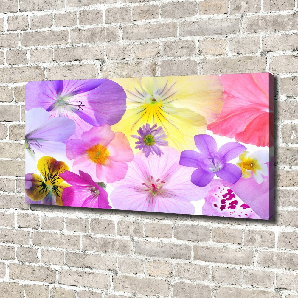 Canvas wall art Pansies