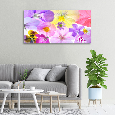 Canvas wall art Pansies