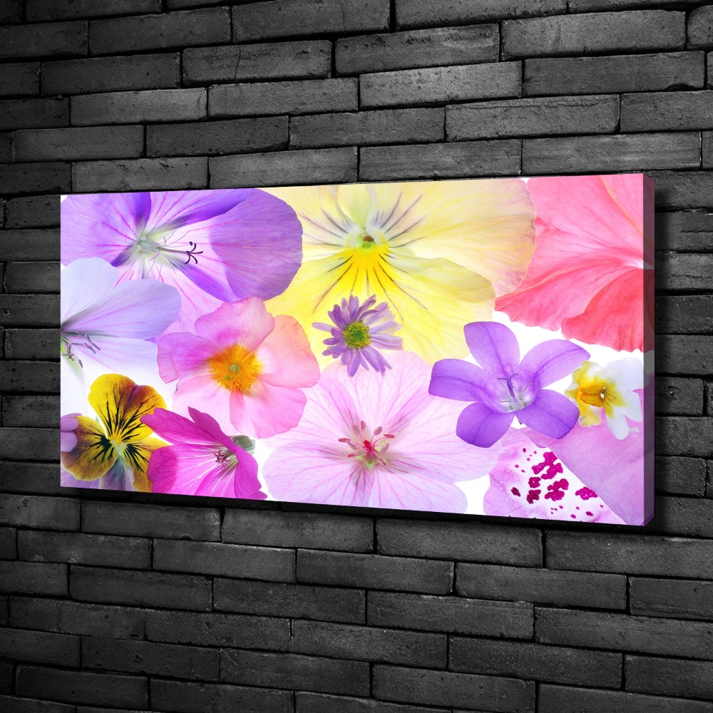 Canvas wall art Pansies